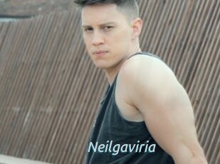 Neilgaviria