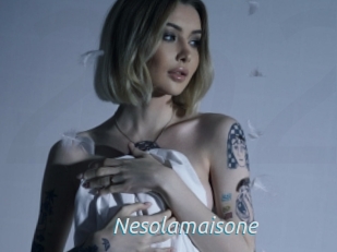 Nesolamaisone