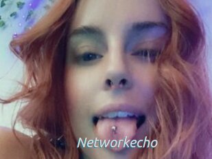 Networkecho