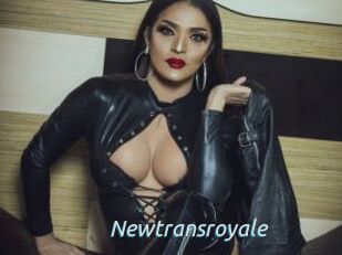 Newtransroyale