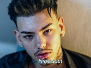 Nigelsoul