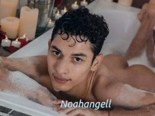 Noahangell