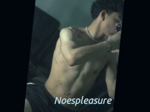 Noespleasure