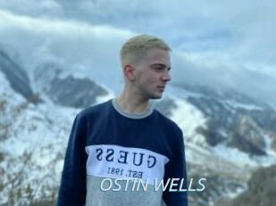 OSTIN_WELLS