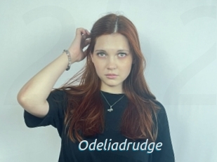 Odeliadrudge