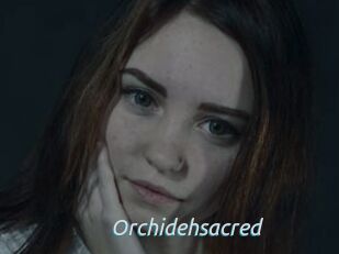 Orchidehsacred