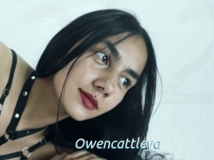 Owencattleya