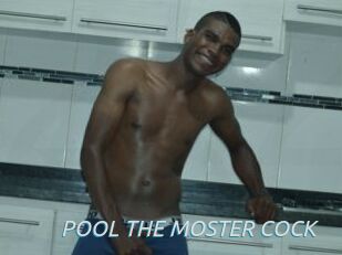 POOL_THE_MOSTER_COCK