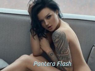 Pantera_Flash