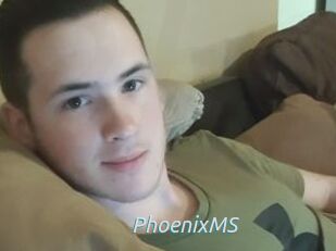 PhoenixMS