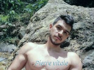 Pierre_vitale