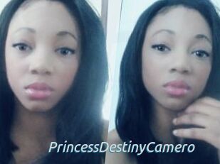 PrincessDestinyCamero