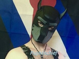 PupMischief