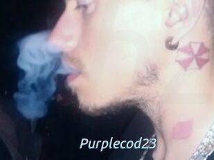 Purplecod23