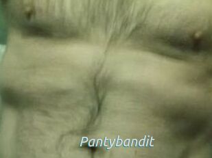 Pantybandit