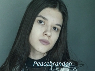 Peacebrandon