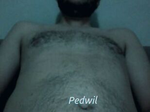 Pedwil