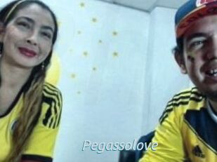 Pegasso_love