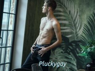 Pluckygay