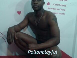 Pollonplayful