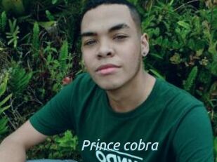 Prince_cobra