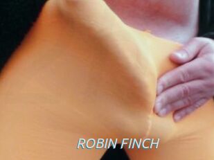 ROBIN_FINCH