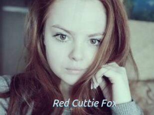 Red_Cuttie_Fox