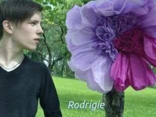 Rodrigie