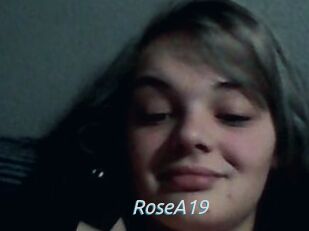 RoseA19