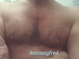 Roccosigfred