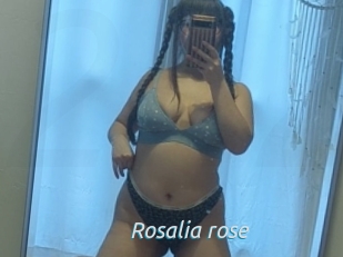 Rosalia_rose