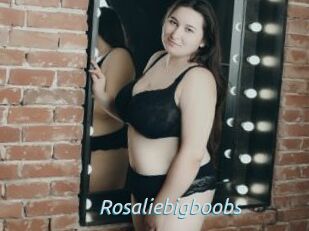 Rosaliebigboobs