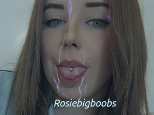 Rosiebigboobs