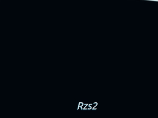 Rzs2