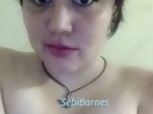 Sebi_Barnes