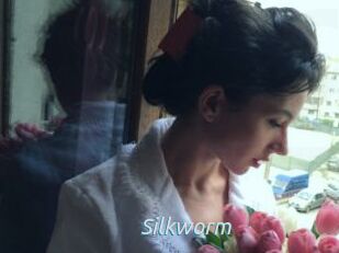 Silkworm