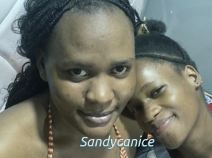 Sandycanice