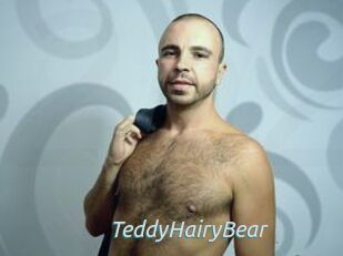 TeddyHairyBear