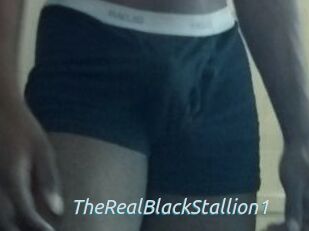 TheRealBlackStallion1