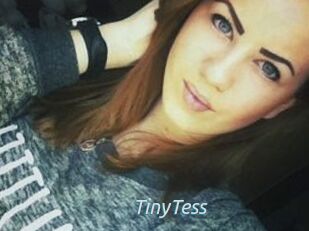 TinyTess