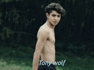 Tony_wolf