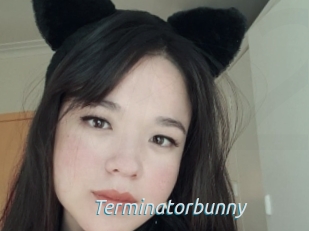 Terminatorbunny