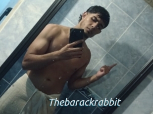 Thebarackrabbit