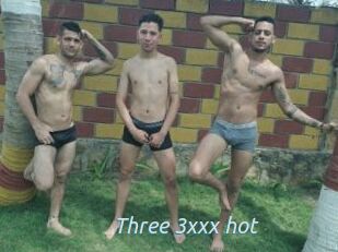 Three_3xxx_hot