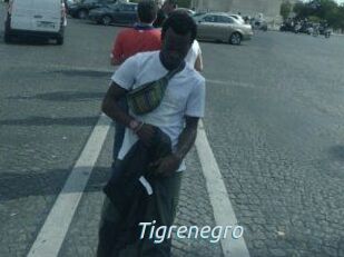 Tigrenegro