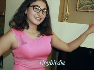 Tinybirdie