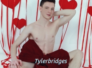 Tylerbridges