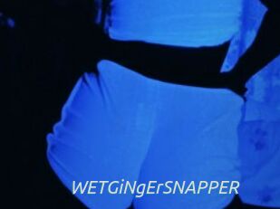 WETGiNgErSNAPPER