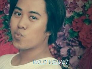 WILD_VELVET