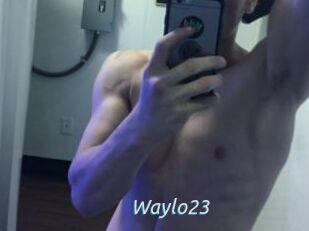 Waylo23